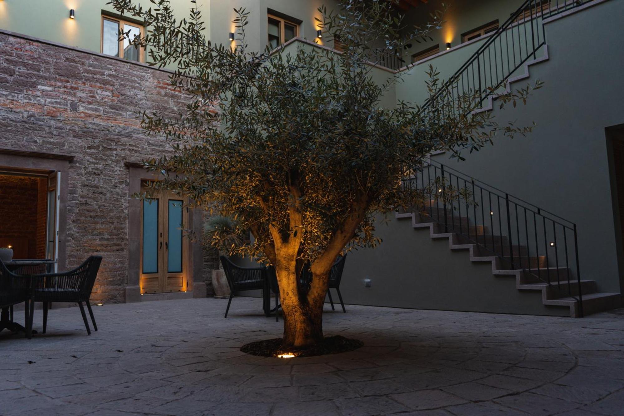 Hotel Casa Aranzazu San Luis Potosí Kültér fotó